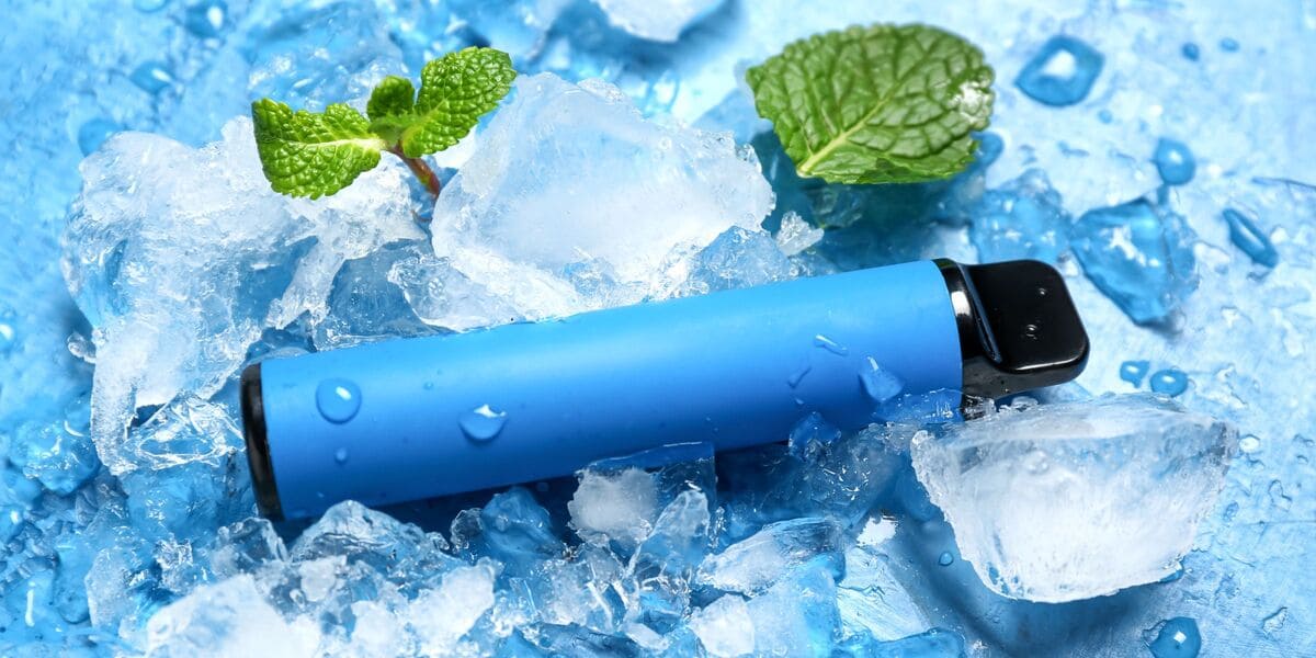 BEST MENTHOL DISPOSABLE VAPE: TOP PICKS YOU NEED TO TRY! - SMOKO E Cigarettes