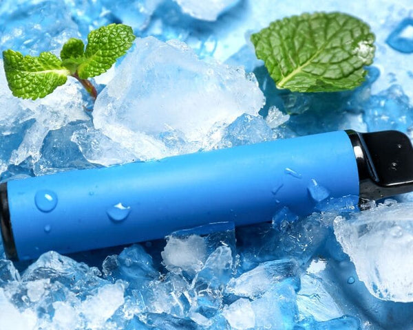 BEST MENTHOL DISPOSABLE VAPE: TOP PICKS YOU NEED TO TRY! - SMOKO E Cigarettes