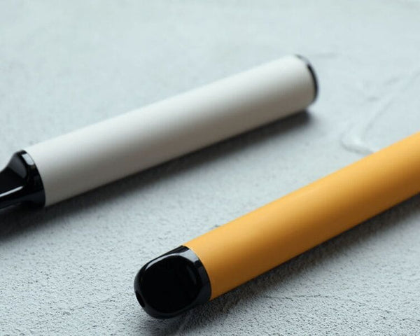 BEST ZERO NICOTINE DISPOSABLE VAPE: OUR ULTIMATE GUIDE - SMOKO E Cigarettes