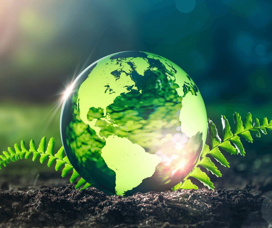 WHAT IS THE ENVIRONMENTAL IMPACT OF DISPOSABLE VAPES AND ECIGS - SMOKO E Cigarettes