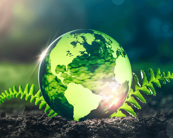 WHAT IS THE ENVIRONMENTAL IMPACT OF DISPOSABLE VAPES AND ECIGS - SMOKO E Cigarettes