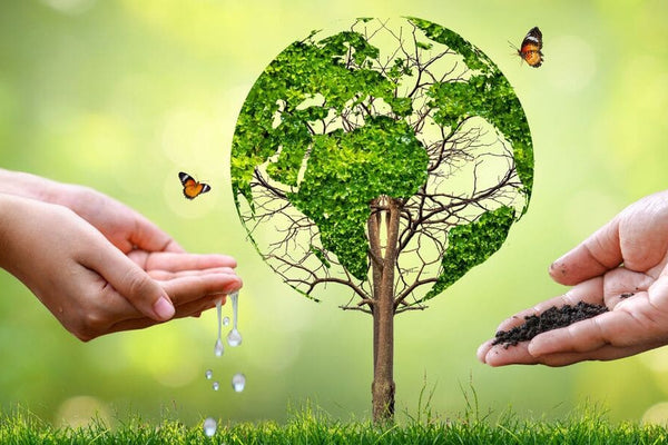 ENVIRONMENTAL IMPACT OF VAPING vs SMOKING: WHICH IS REALLY BETTER FOR OUR PLANET