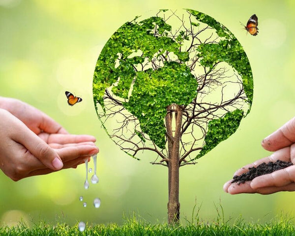 ENVIRONMENTAL IMPACT OF VAPING vs SMOKING: WHICH IS REALLY BETTER FOR OUR PLANET