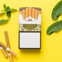 FINDING THE BEST MENTHOL CIGARETTES ALTERNATIVES FOR HEALTHIER CHOICES - SMOKO E Cigarettes