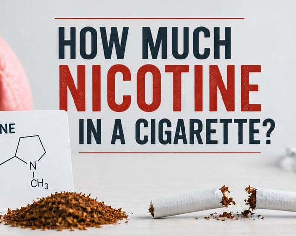 HOW MUCH NICOTINE IN A CIGARETTE: Understanding Nicotine Content and Health Implications - SMOKO E-Cigarettes + Vapes