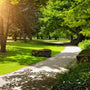 LOOKING TO QUIT SMOKING? LIVING NEAR GREEN SPACES COULD HELP - SMOKO E Cigarettes