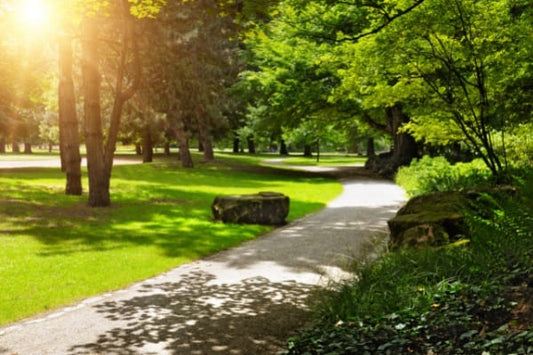 LOOKING TO QUIT SMOKING? LIVING NEAR GREEN SPACES COULD HELP
