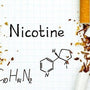 NICOTINE SALT VS FREEBASE NICOTINE - ARE NIC SALTS WORSE THAN FREEBASE? - SMOKO E Cigarettes