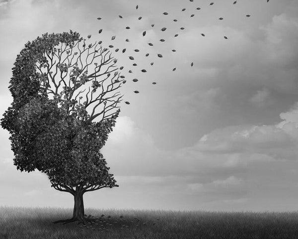 NICOTINE GUM AND ALZHEIMER'S: DOES IT WORK? - SMOKO E Cigarettes