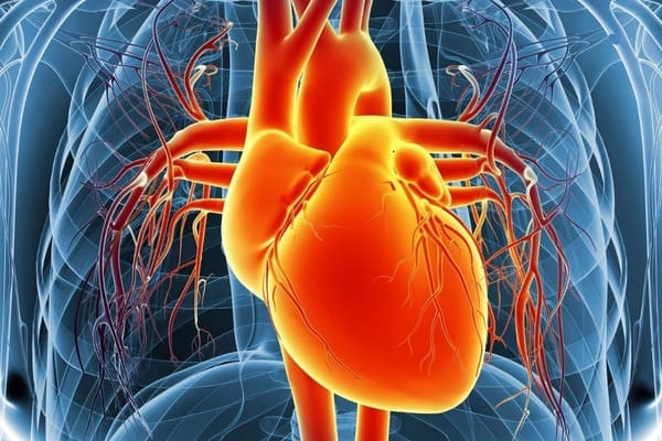 Smokefree 2030: What It Means for You, How to Prepare & Why Switching to e-Cigarettes is the Best First Step - SMOKO E Cigarettes