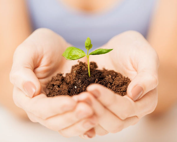 Is Vaping Better for the Environment than Smoking? - SMOKO E Cigarettes