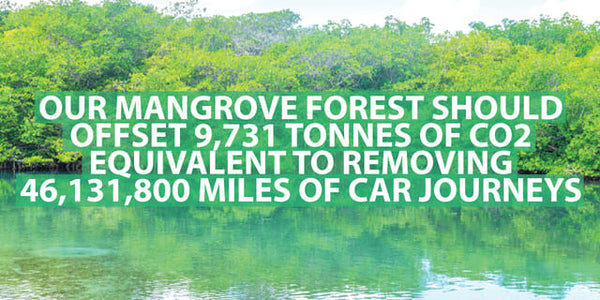 SMOKO E-Cigs have helped to plant 32,000+ trees that will offset 9731 tonnes of CO2 equal to 46M car miles